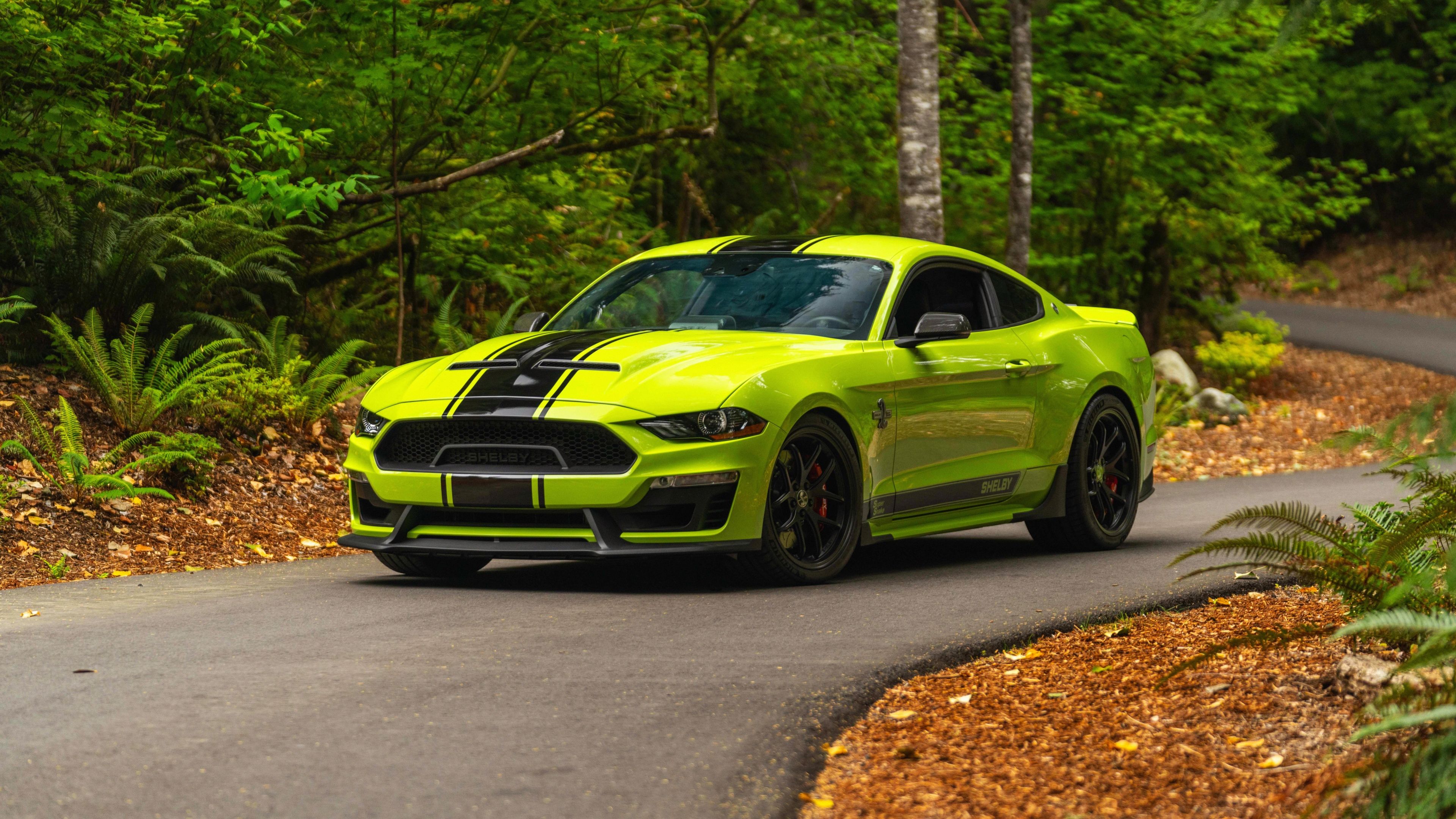 Shelby Super Snake Bold Edition ultra HD 4K wallpaper