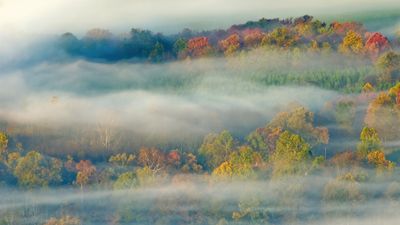 OS X Lion Autumn ultra HD 4K wallpaper