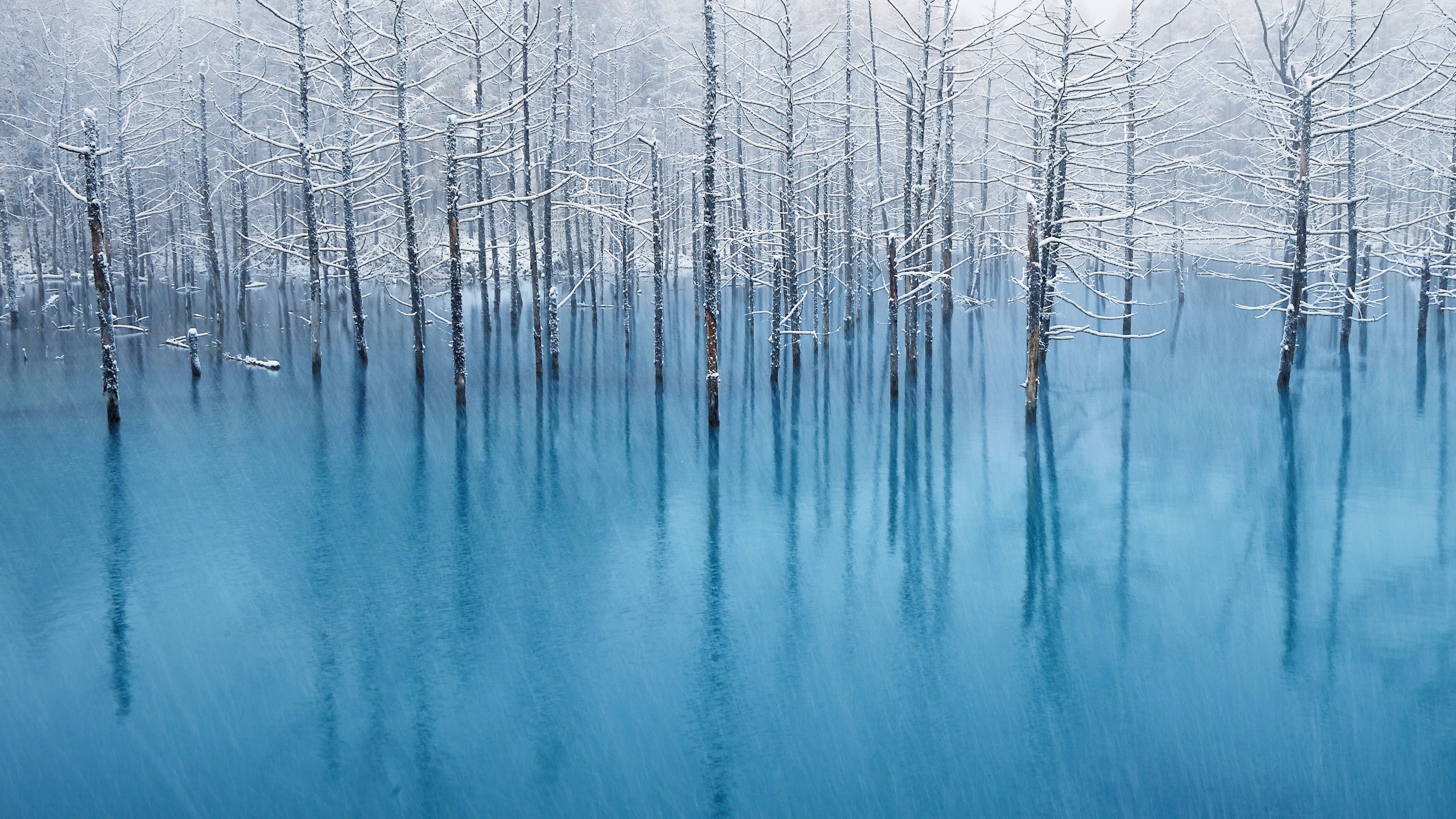 OS X Mountain Lion Winter ultra HD 4K wallpaper