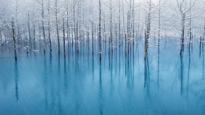 OS X Mountain Lion Winter ultra HD 4K wallpaper