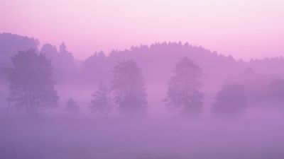 OS X Lion Pink aesthetic ultra HD 4K wallpaper