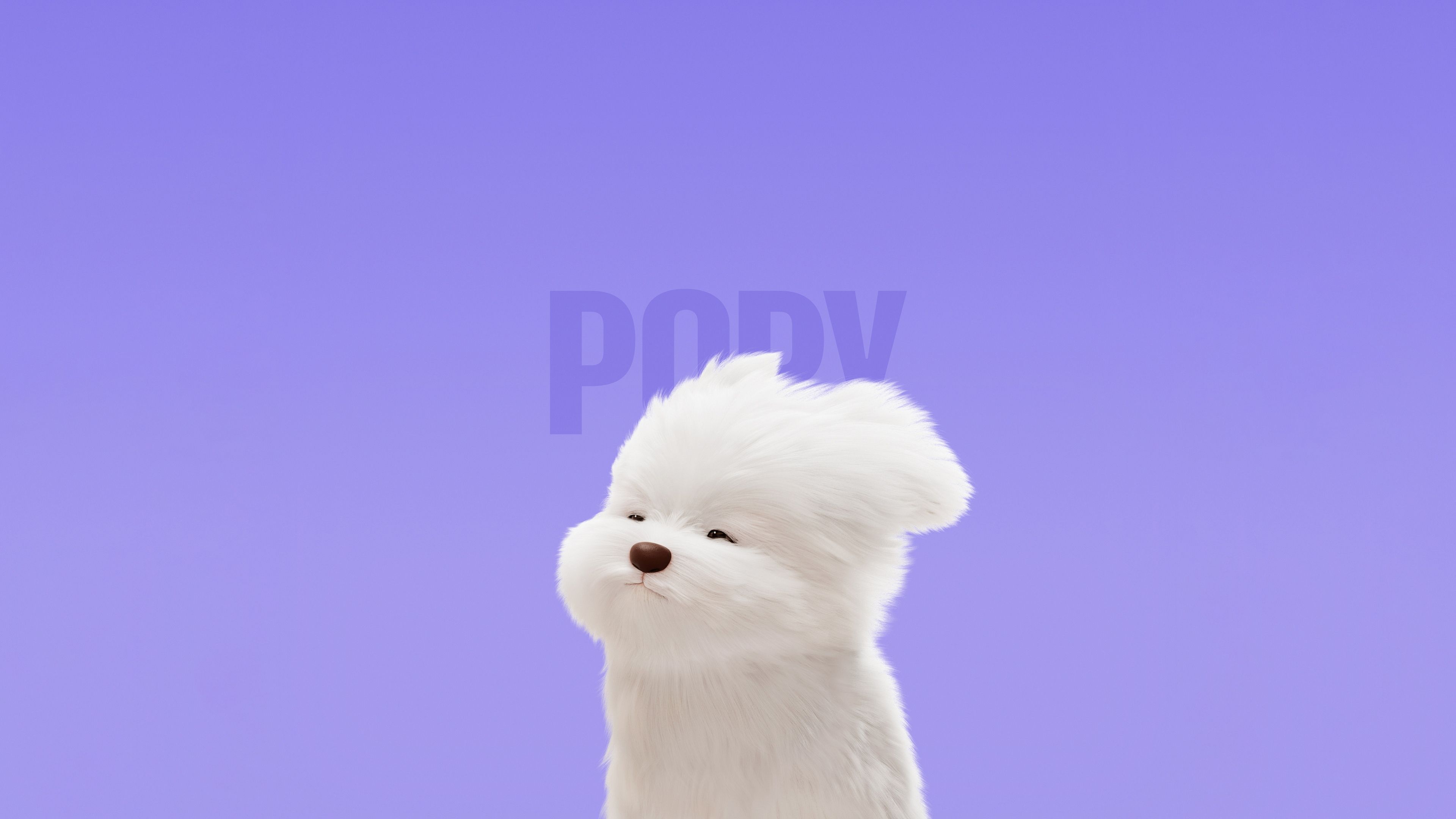 Maltese Dog Cute cartoon ultra HD 4K wallpaper