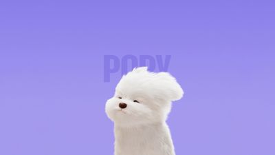 Maltese Dog Cute cartoon ultra HD 4K wallpaper