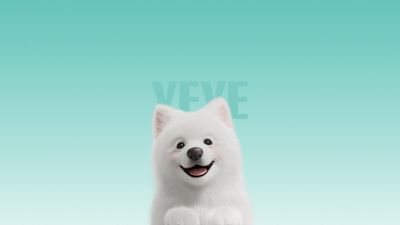 Samoyed Cute dog ultra HD 4K wallpaper