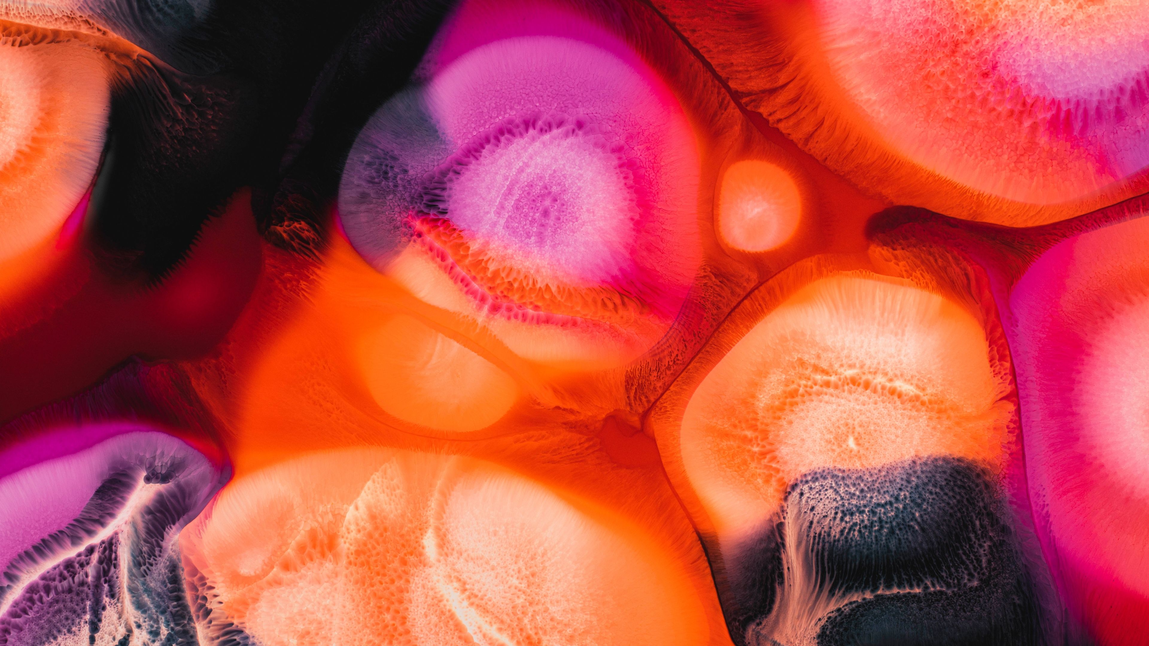 Vibrant Fluid art ultra HD 4K wallpaper