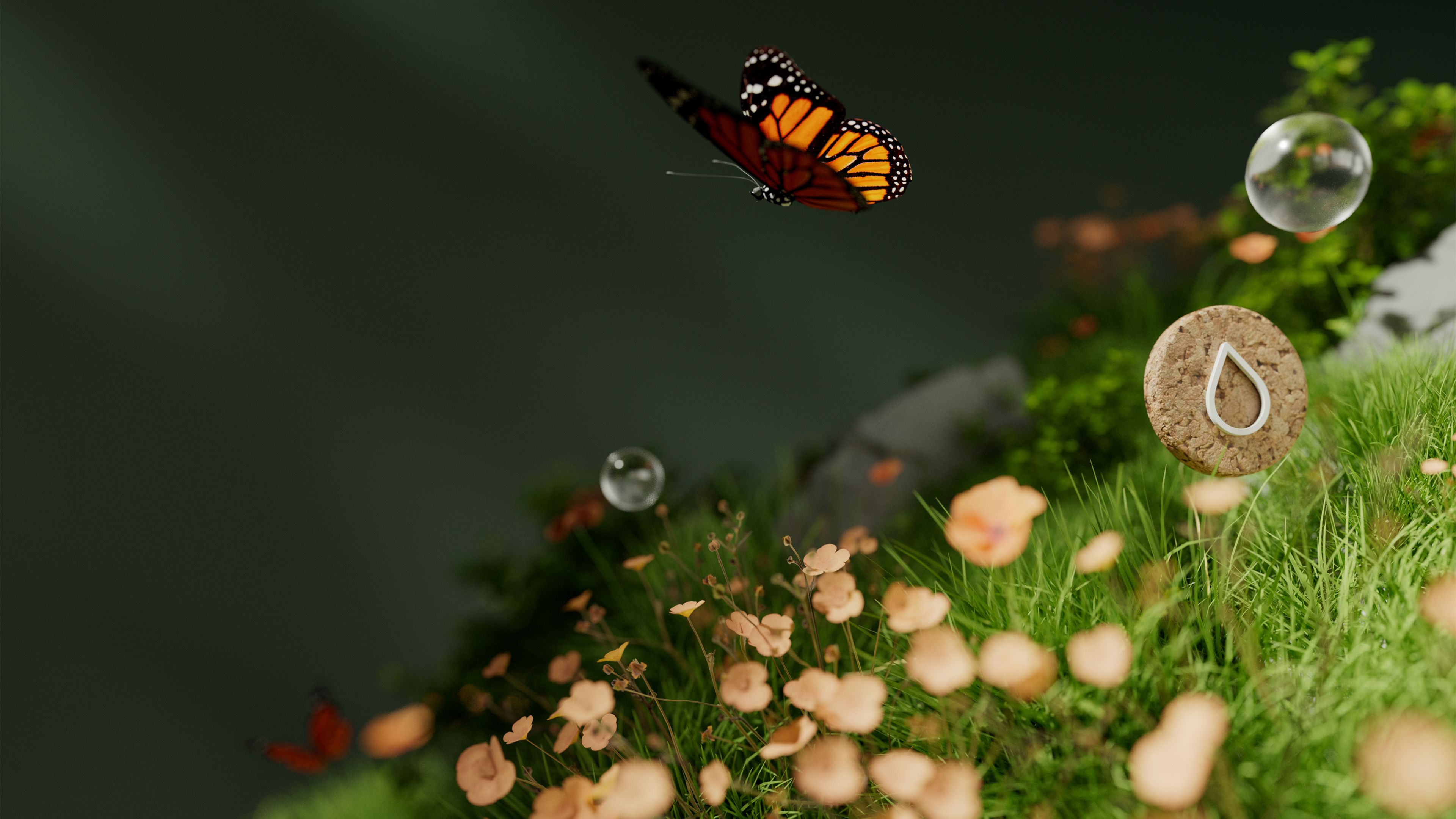 Monarch butterfly Landscape ultra HD 4K wallpaper