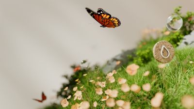 Monarch butterfly Macro ultra HD 4K wallpaper