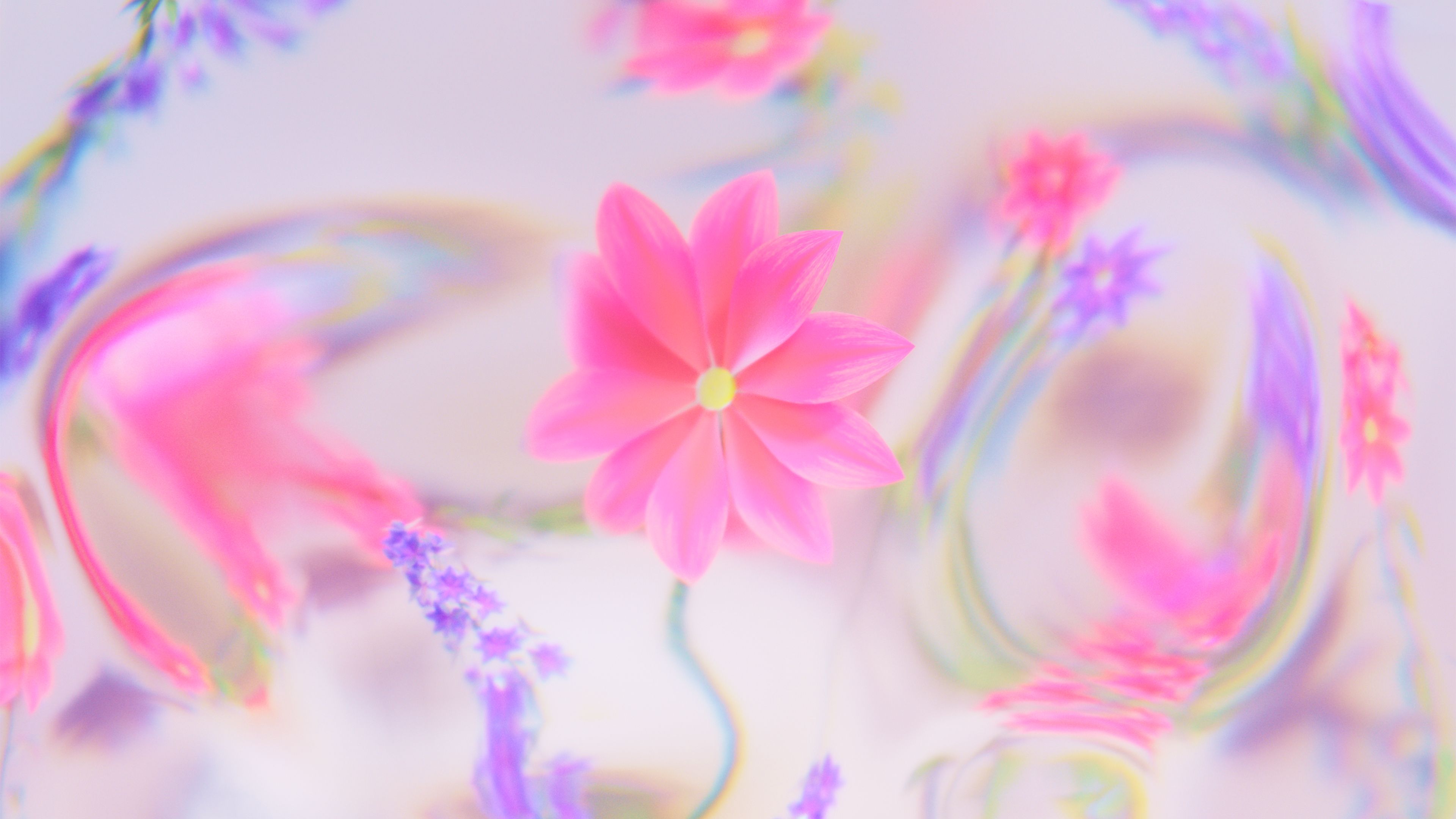 Dreamy Abstract flower ultra HD 4K wallpaper