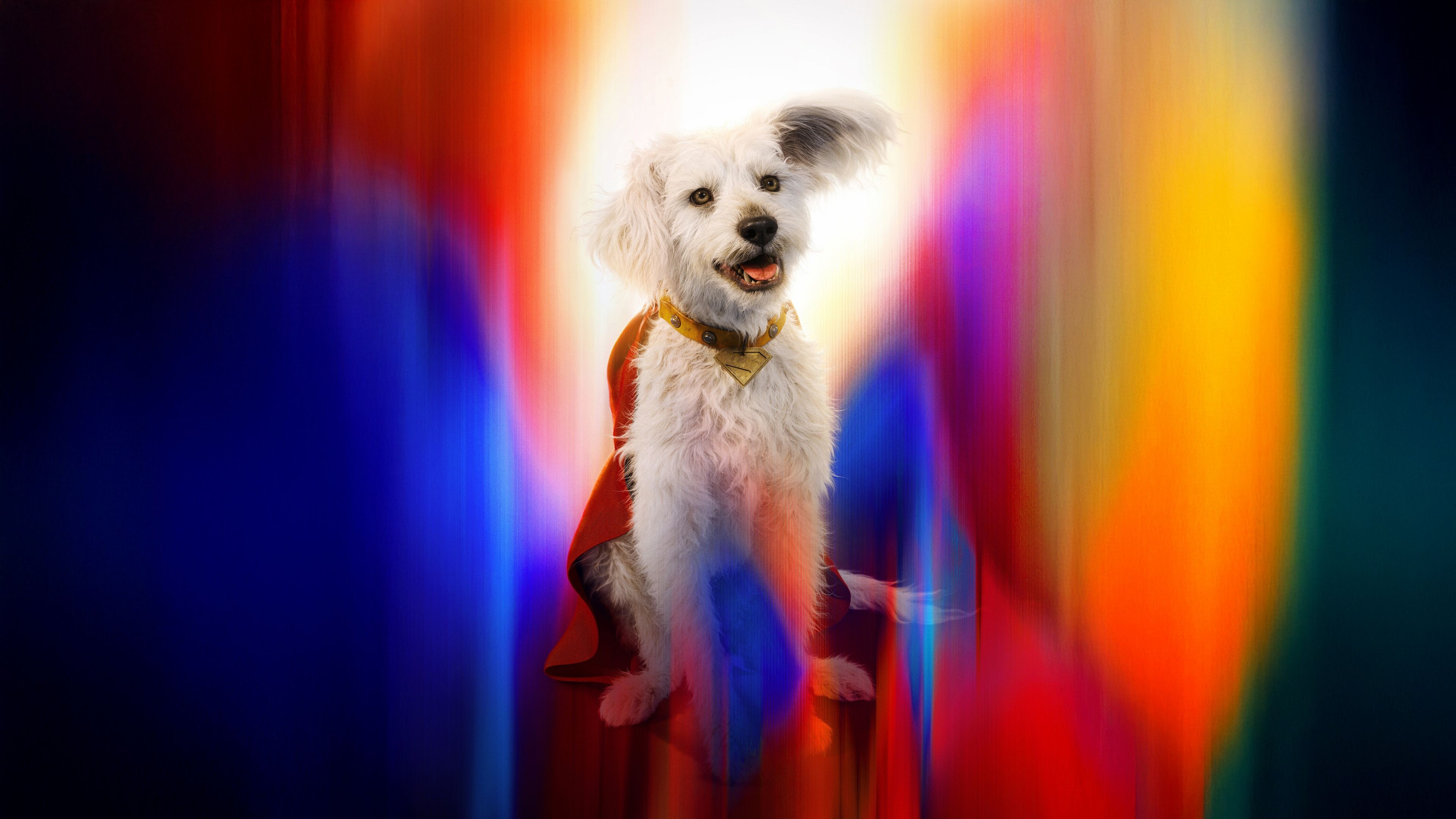 Krypto Superdog ultra HD 4K wallpaper