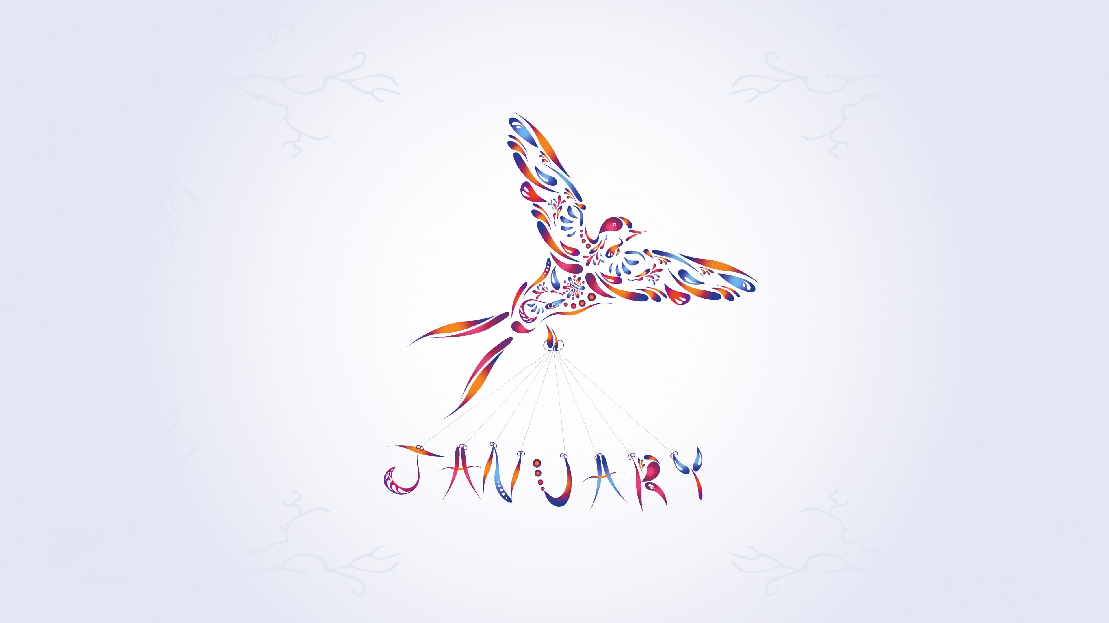 January Abstract bird ultra HD 4K wallpaper