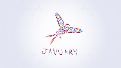 January Abstract bird ultra HD 4K wallpaper