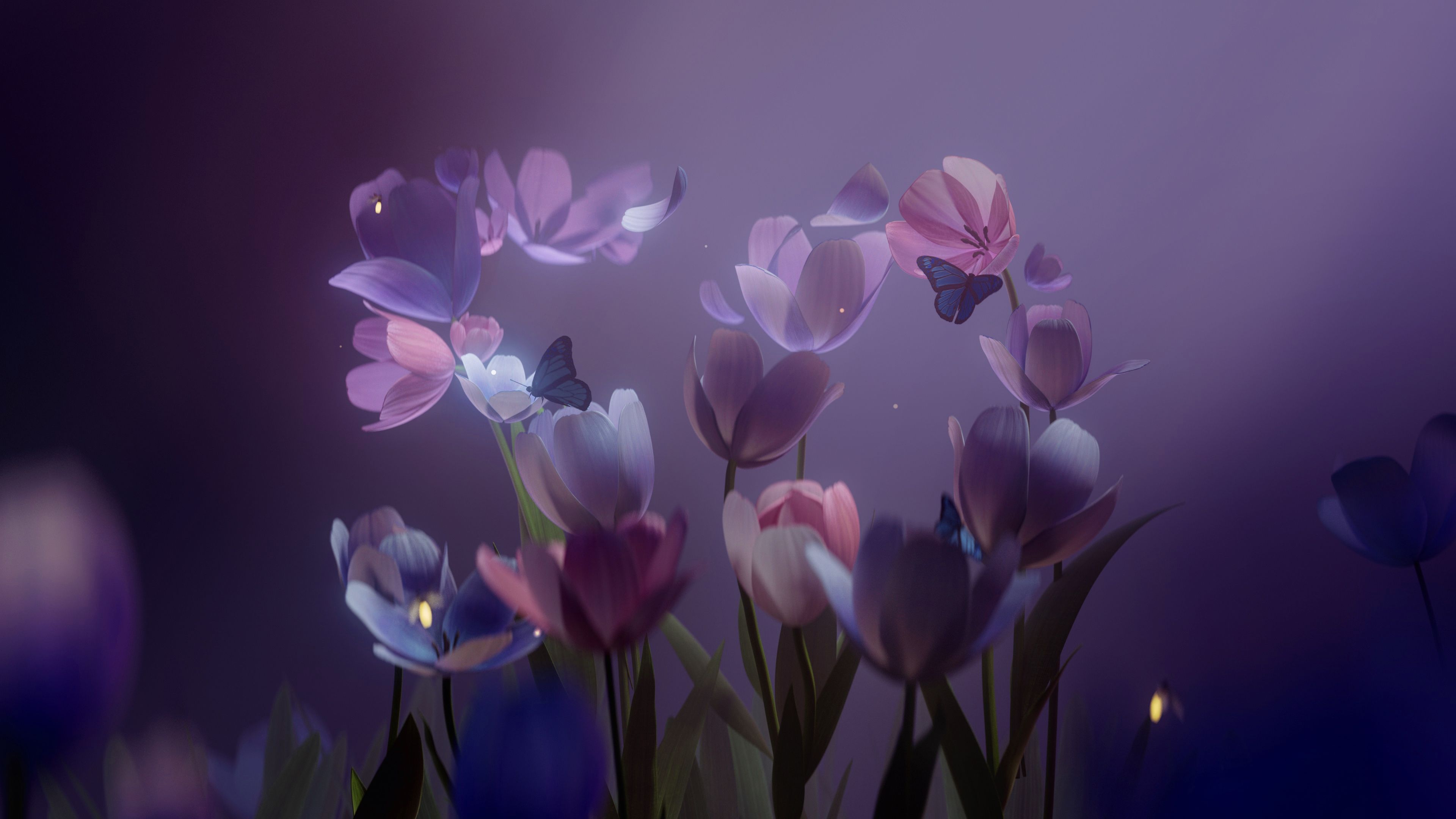 Microsoft 50th Anniversary Tulips ultra HD 4K wallpaper