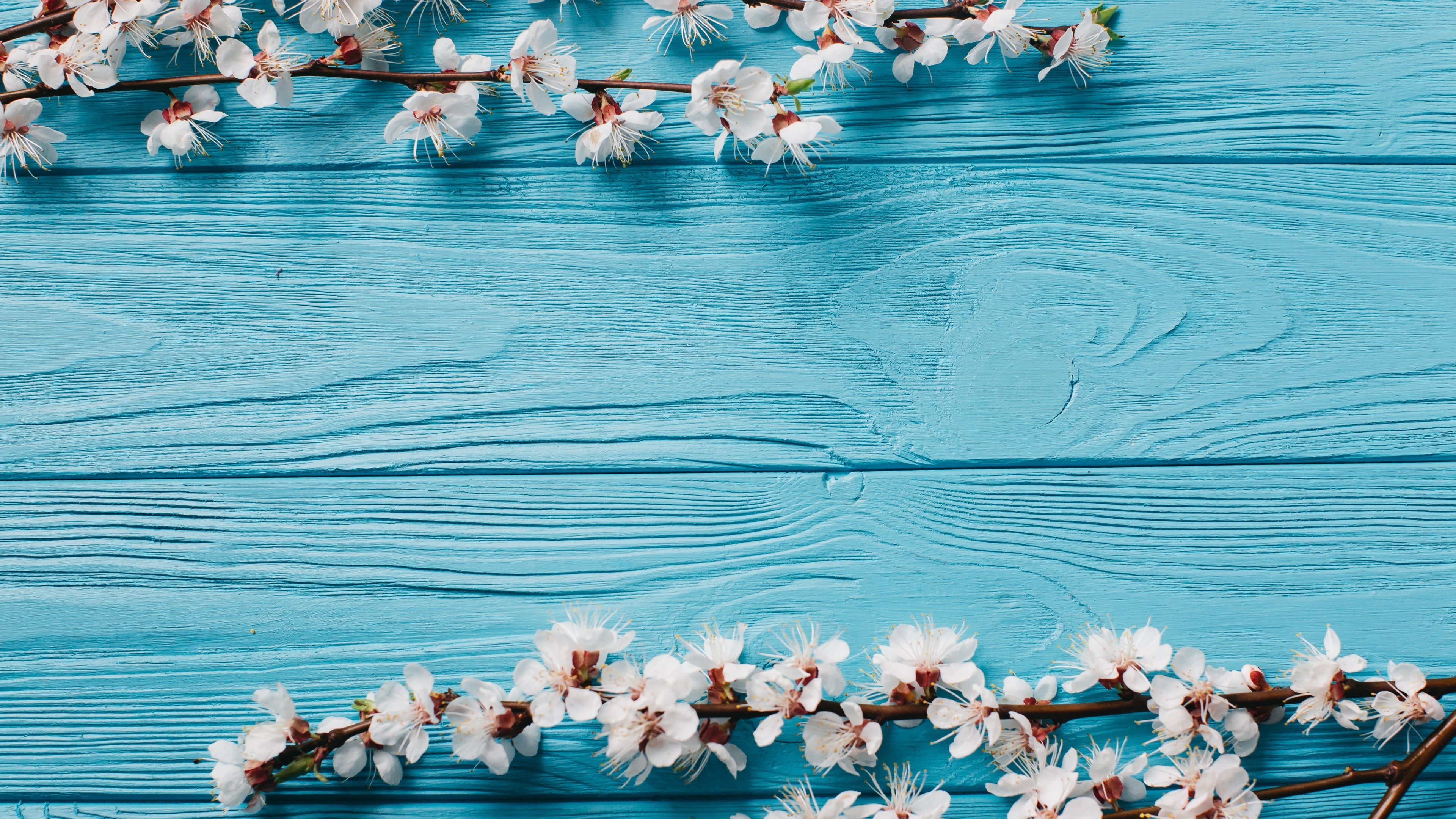 Spring flowers ultra HD 4K wallpaper