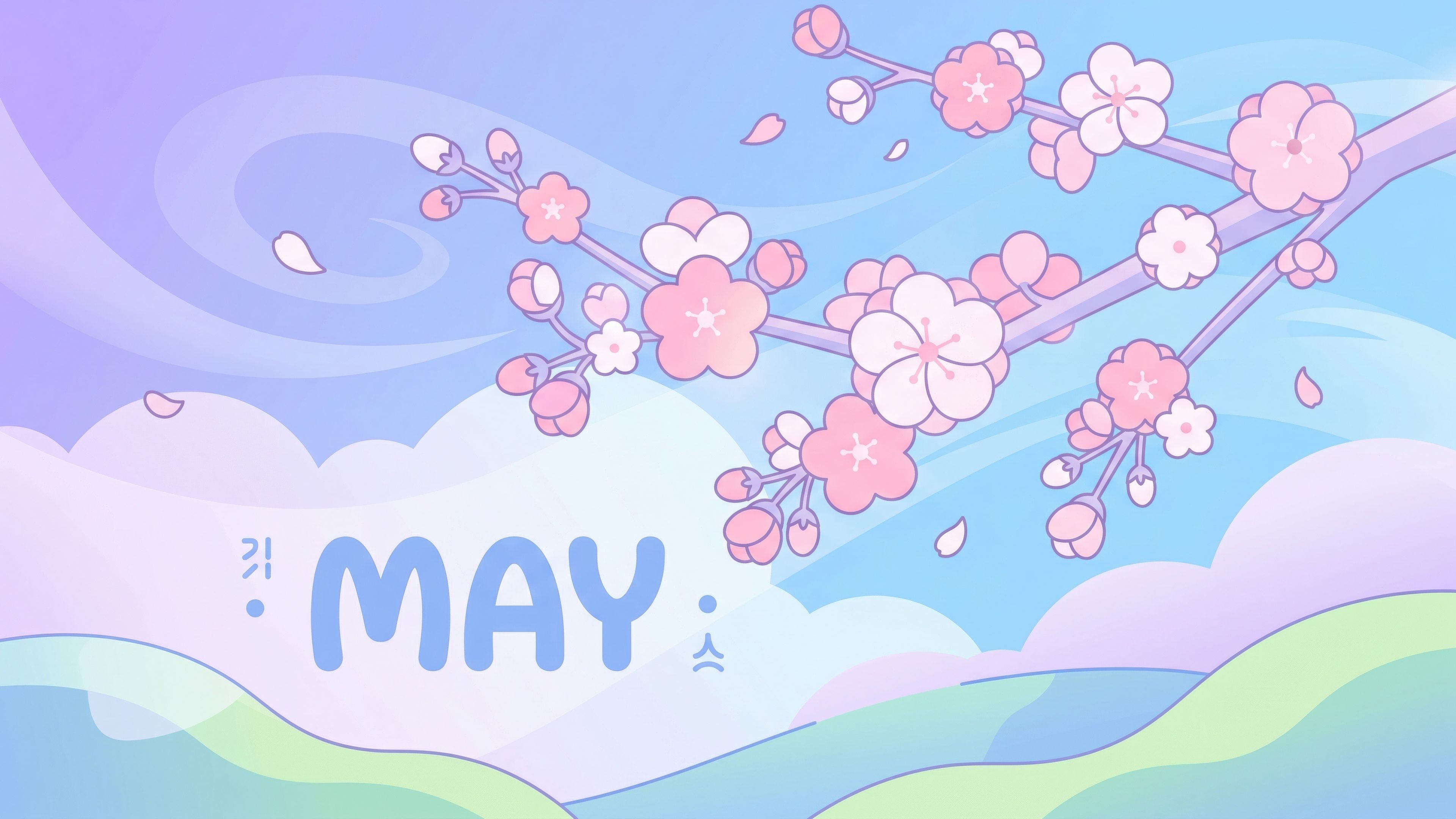 May (Month) Cherry blossom ultra HD 4K wallpaper