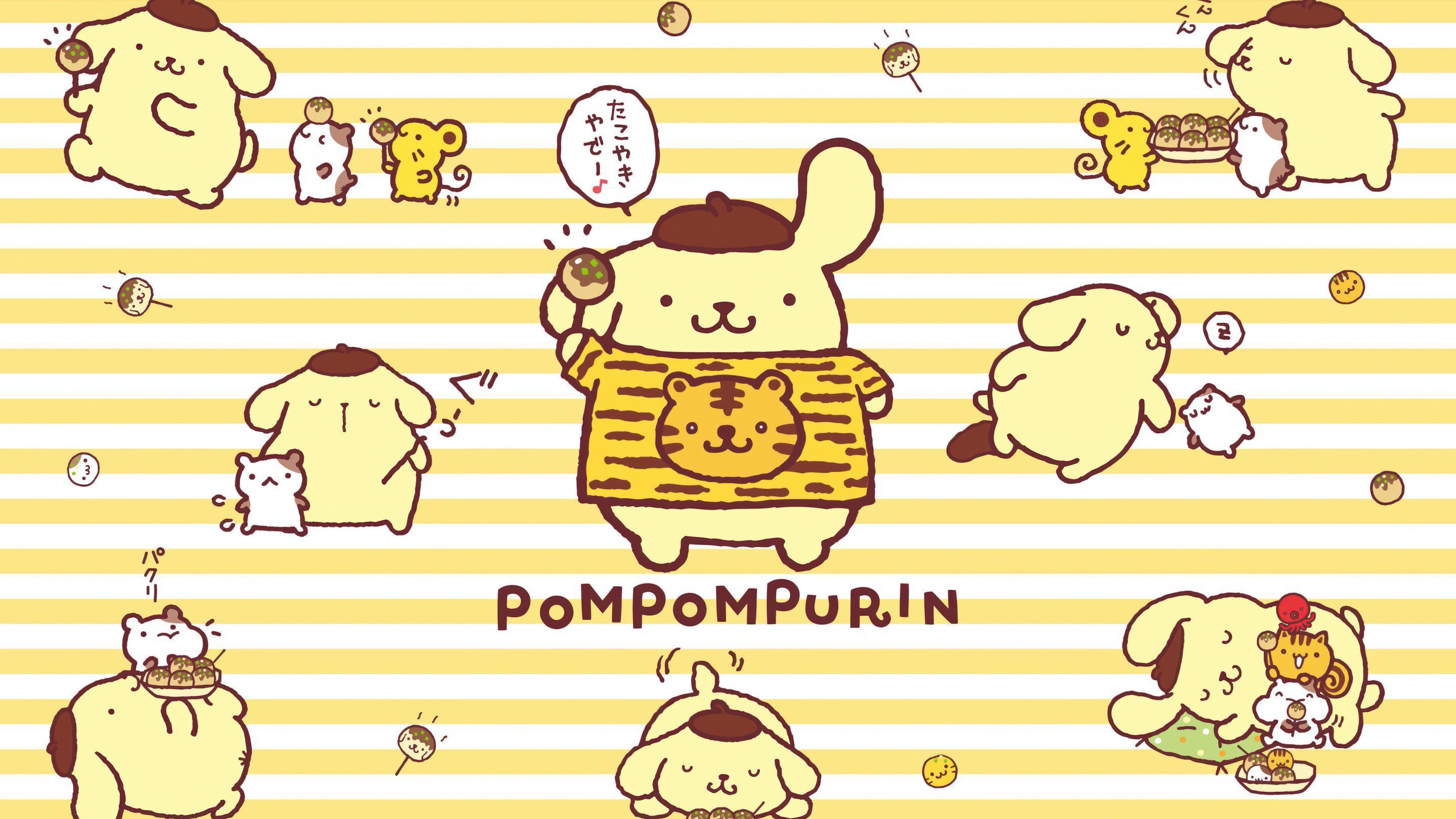 Pompompurin Cute cartoon ultra HD 4K wallpaper