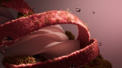 Organic Pink grass ultra HD 4K wallpaper