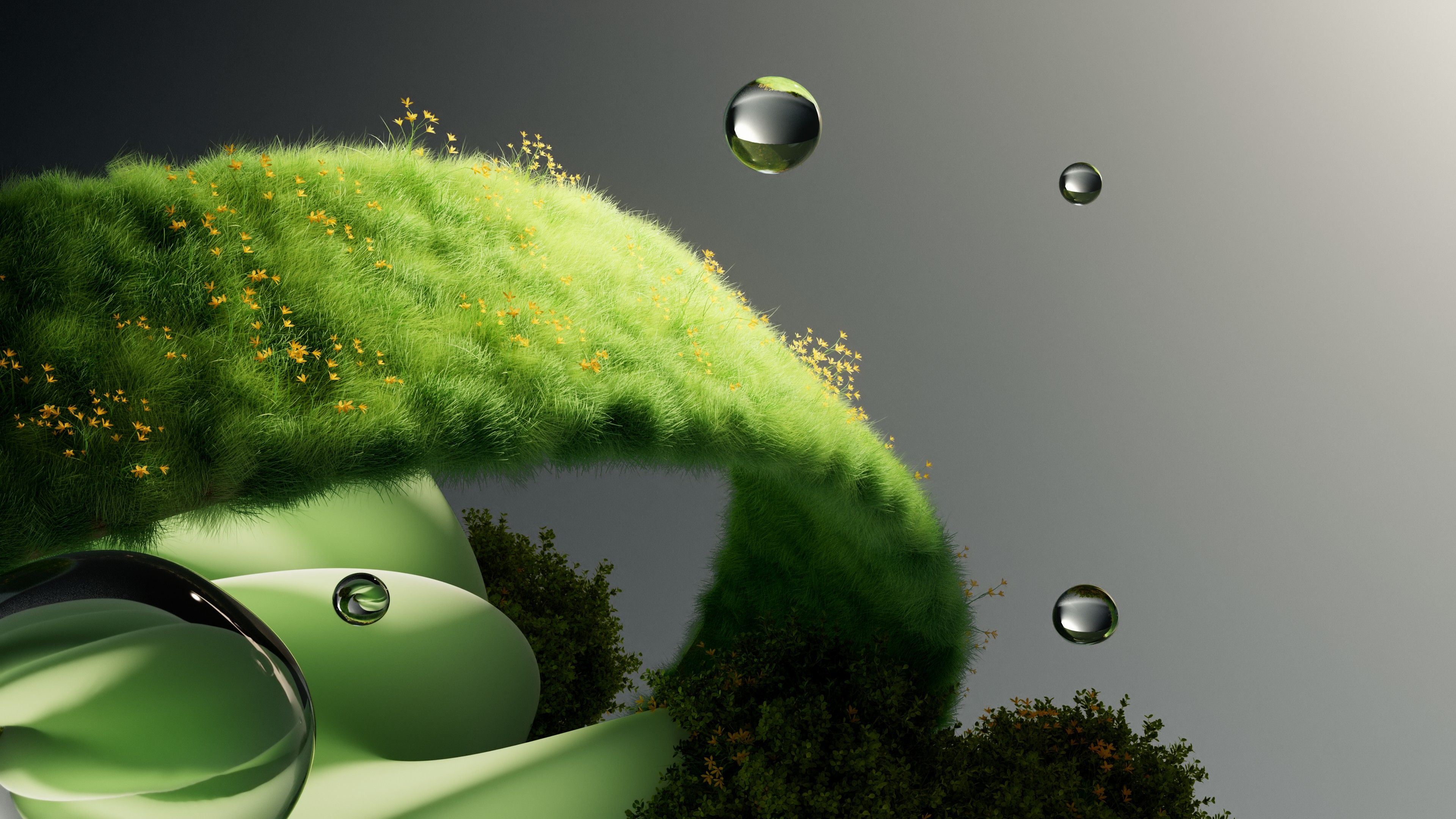 Organic Green Grass ultra HD 4K wallpaper