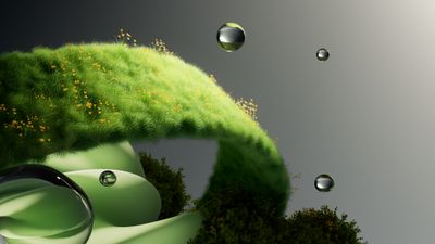 Organic Green Grass ultra HD 4K wallpaper