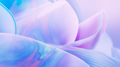 Translucent Petals ultra HD 4K wallpaper