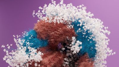 Fluffy Floral Background ultra HD 4K wallpaper