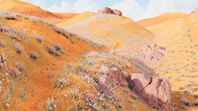 Golden fields Dreamy ultra HD 4K wallpaper