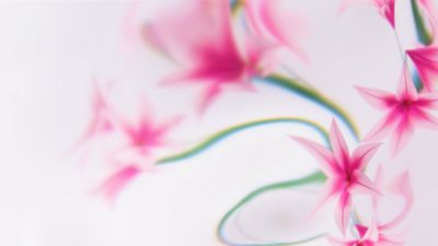 Pink flowers Dreams ultra HD 4K wallpaper