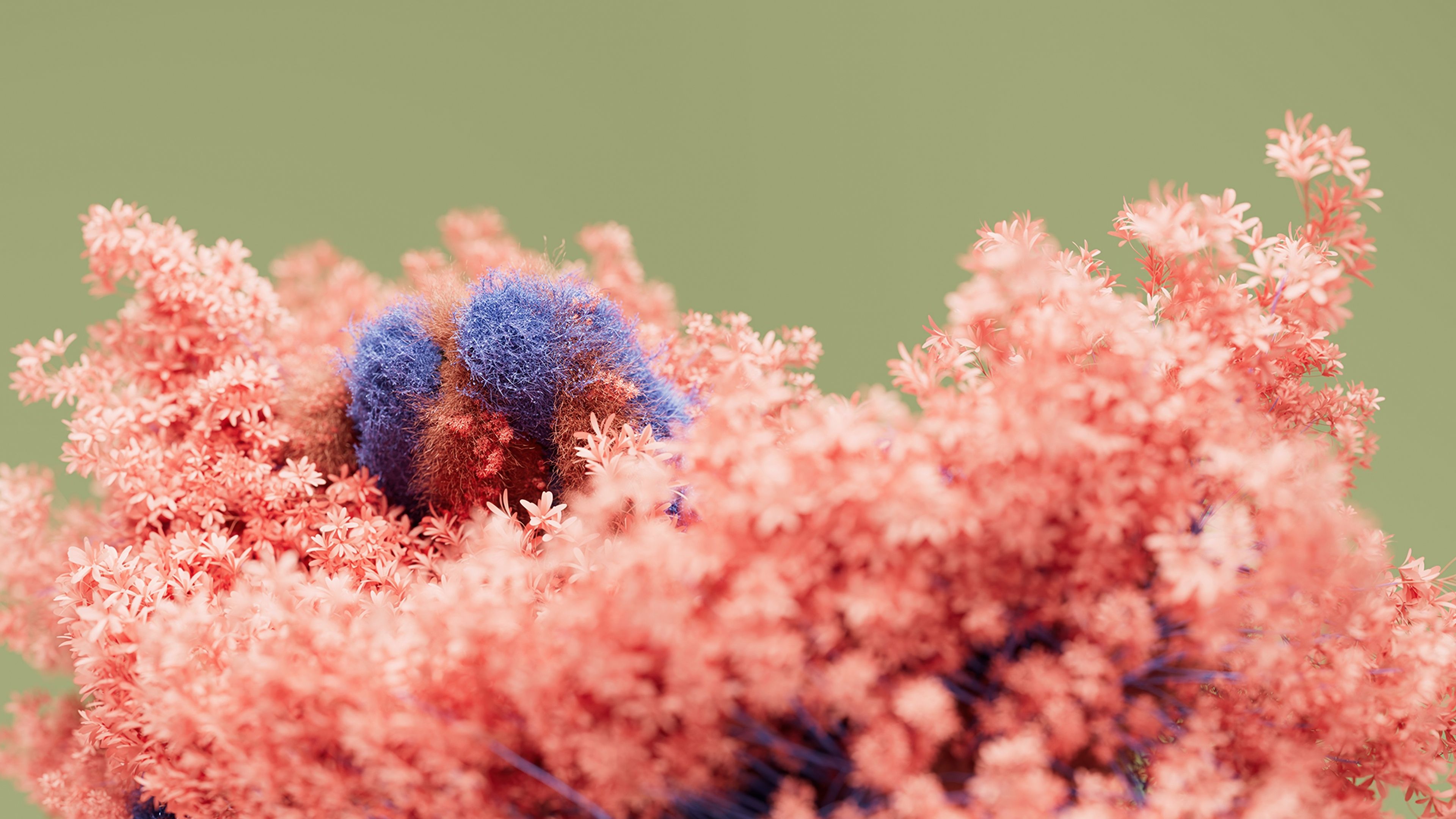 Floral Pink moss ultra HD 4K wallpaper