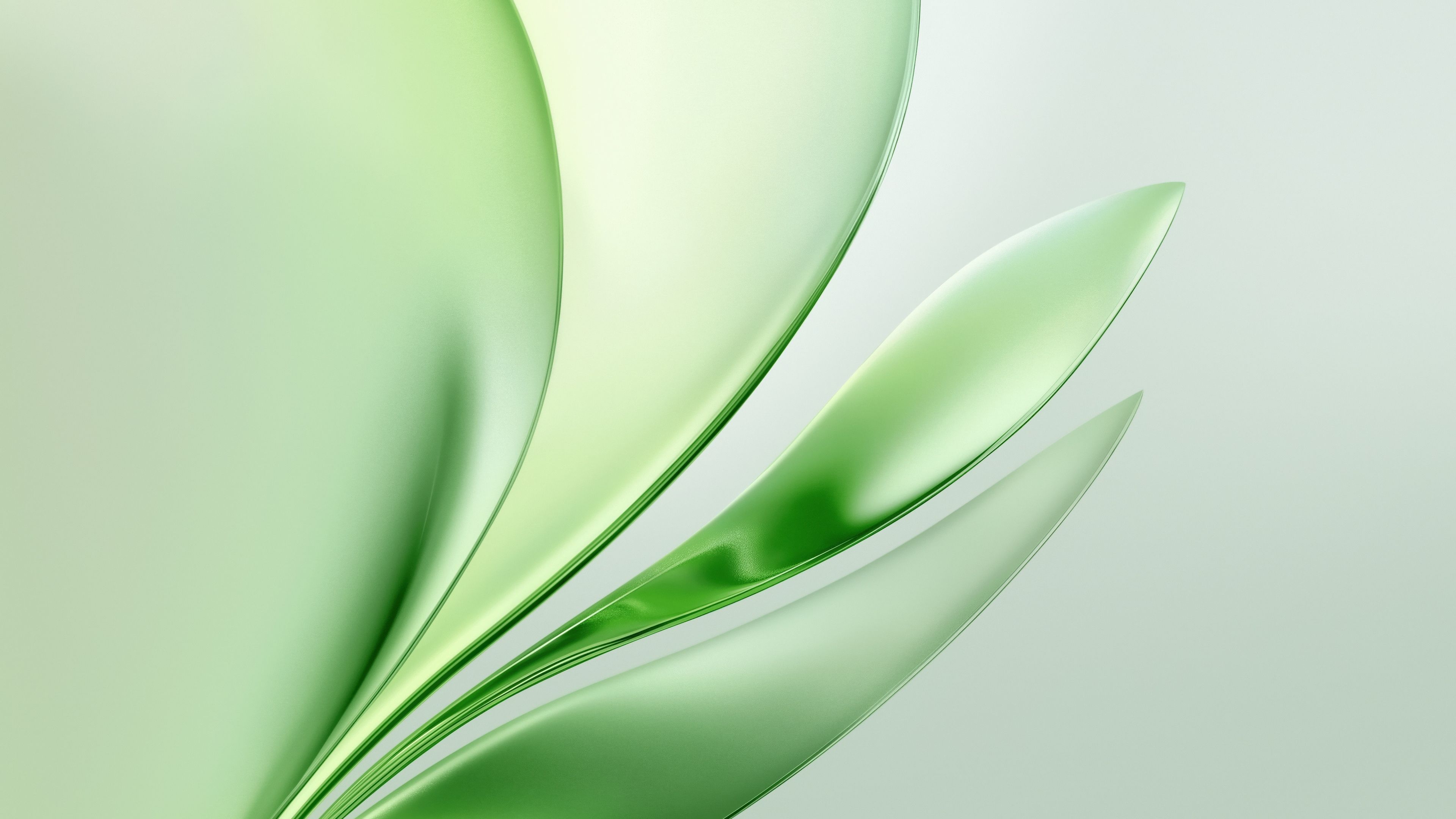 Glossy Green abstract ultra HD 4K wallpaper