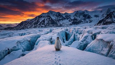 Nihilist penguin Mountains ultra HD 4K wallpaper