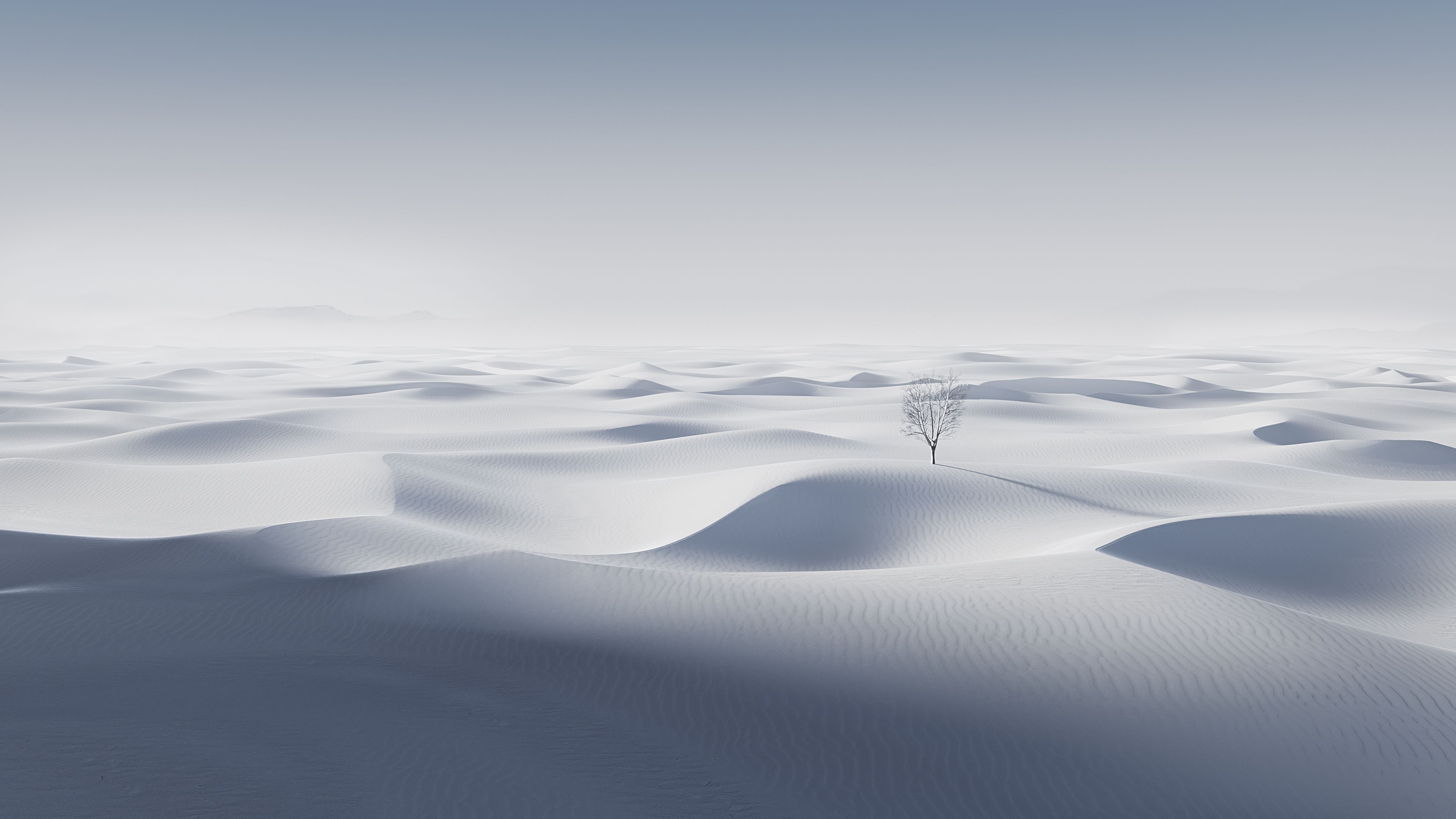 Desert White aesthetic ultra HD 4K wallpaper