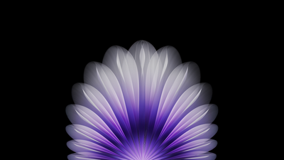Floral Purple abstract ultra HD 4K wallpaper