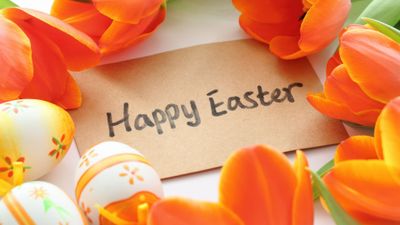 Happy Easter Tulips ultra HD 4K wallpaper