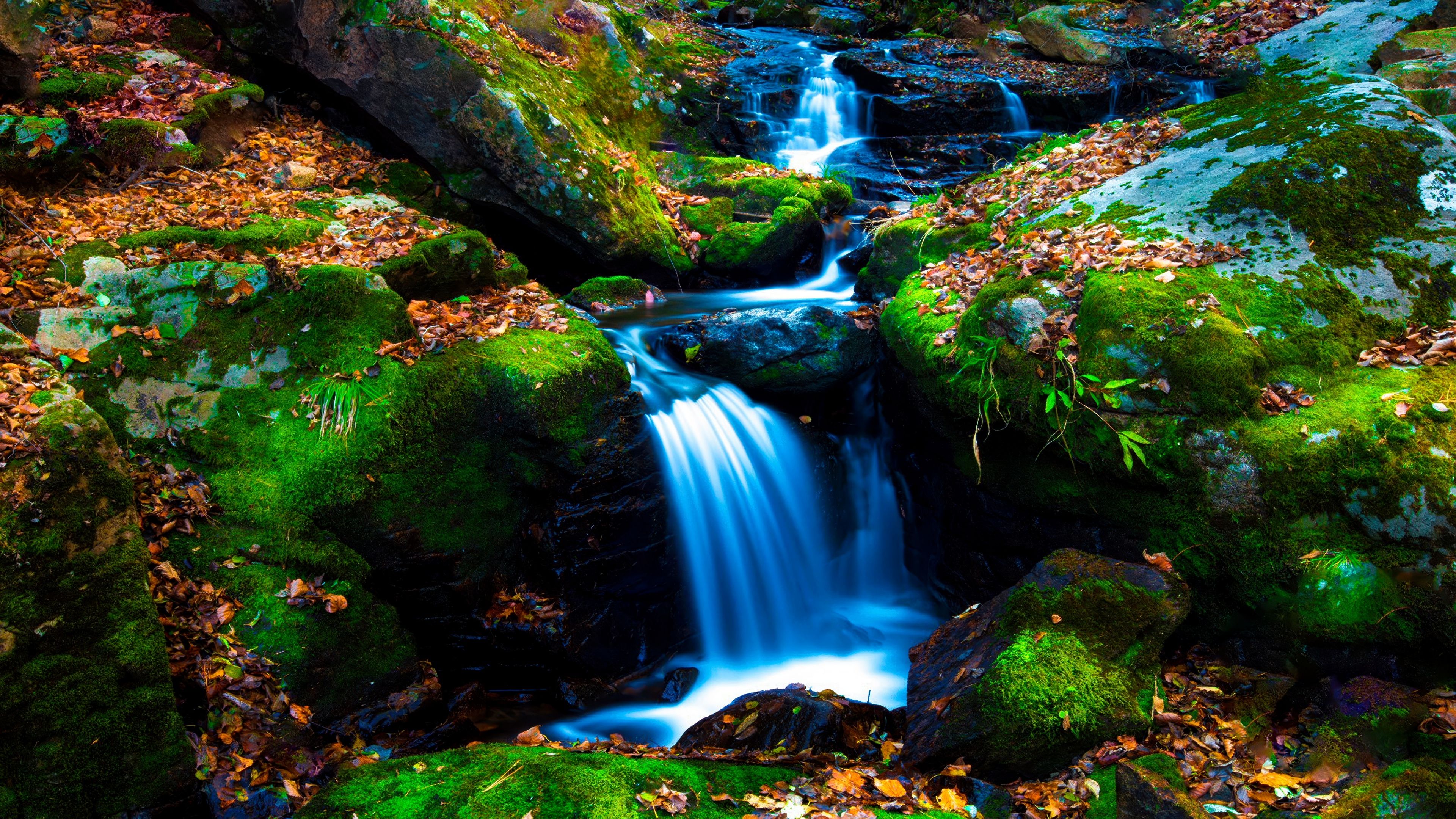 Mossy rocks Green Moss ultra HD 4K wallpaper
