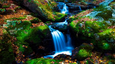 Mossy rocks Green Moss ultra HD 4K wallpaper