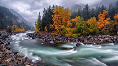 Autumn River Stream ultra HD 4K wallpaper