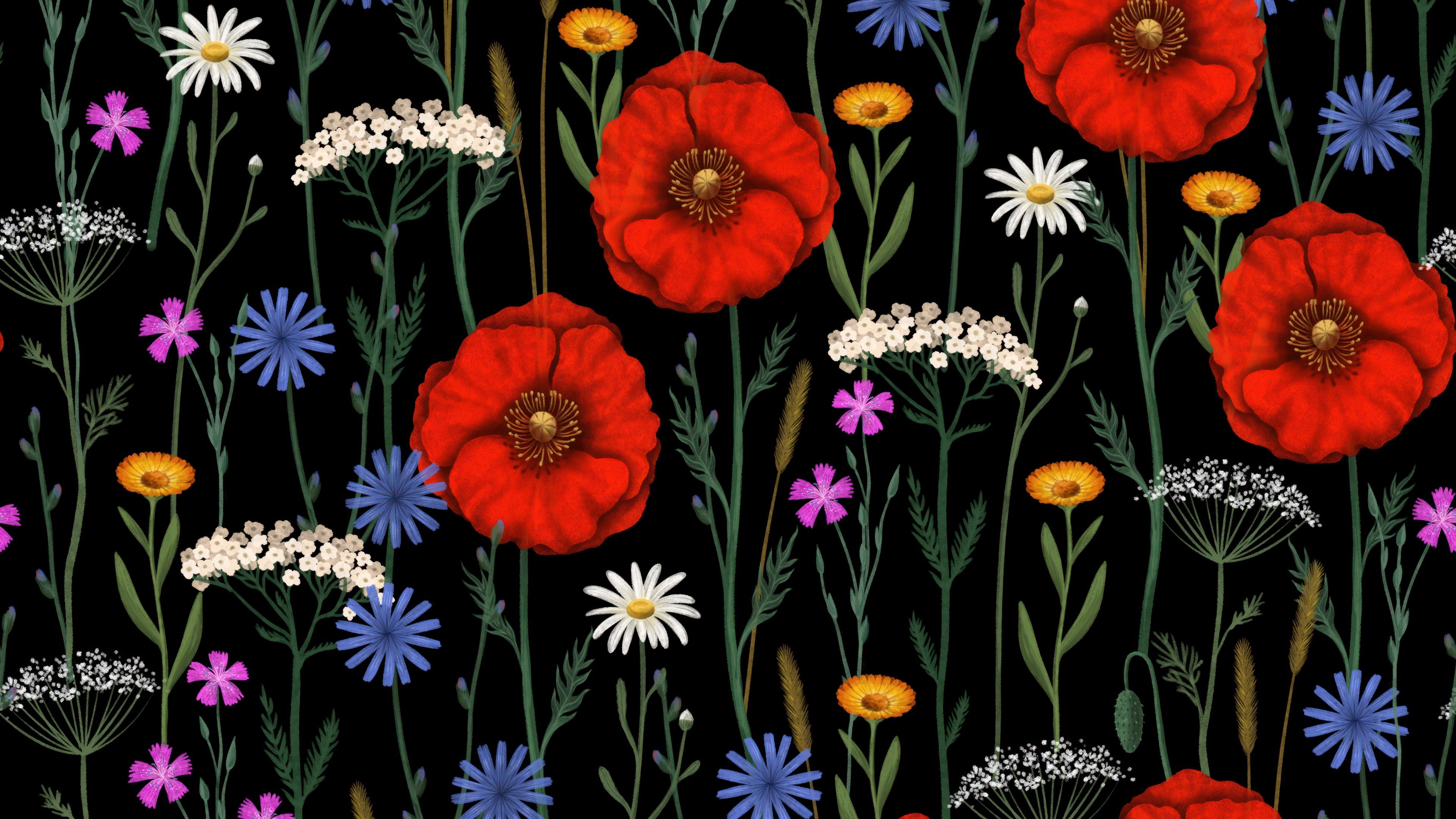 Poppies Floral designs ultra HD 4K wallpaper