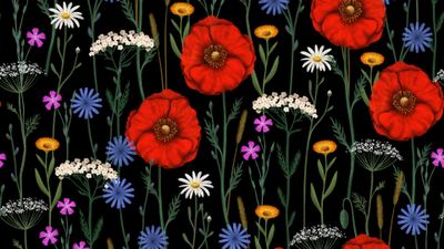 Poppies Floral designs ultra HD 4K wallpaper
