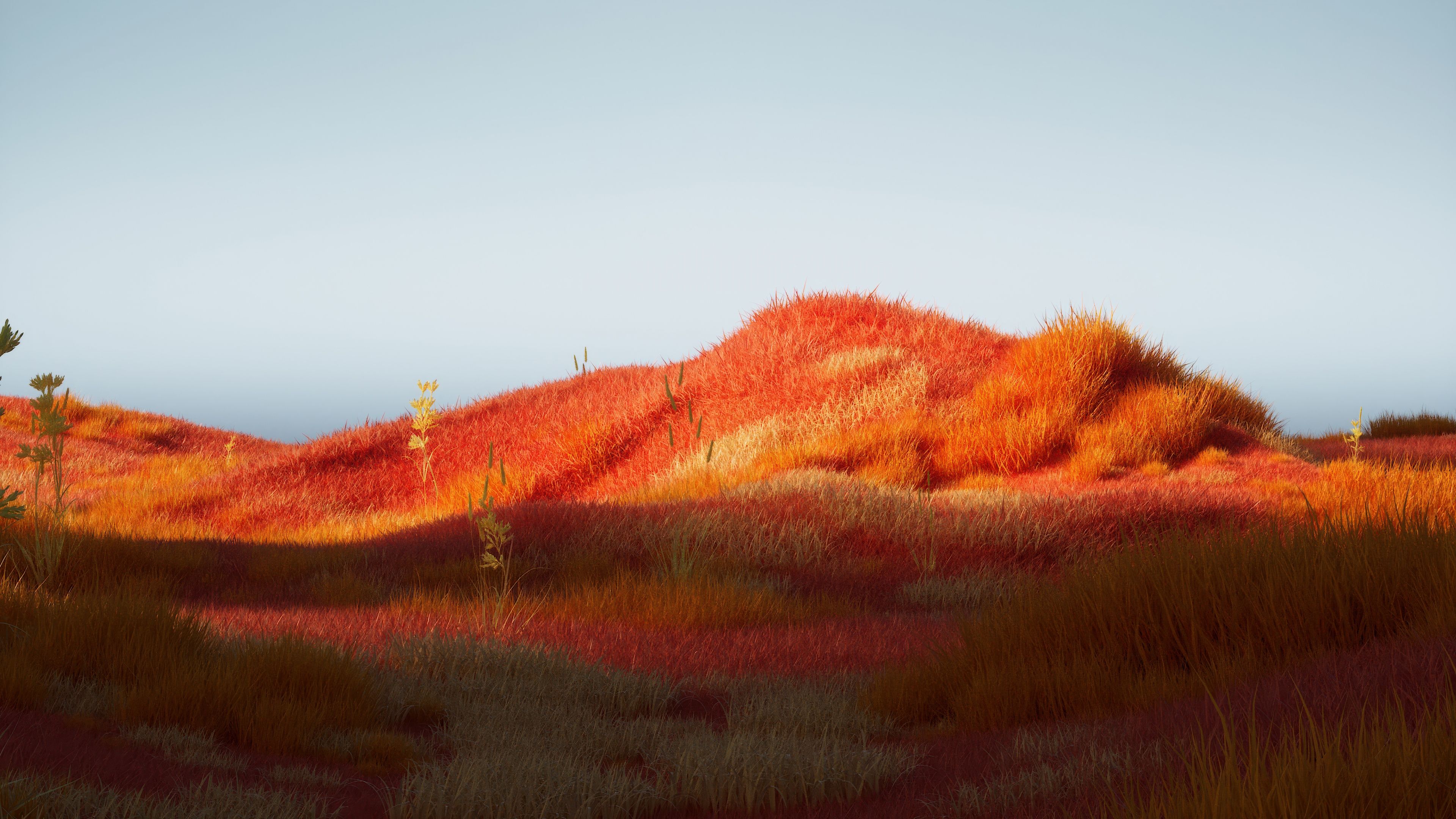 Orange aesthetic Landscape ultra HD 4K wallpaper