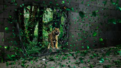 Tiger Mystical Forest ultra HD 4K wallpaper