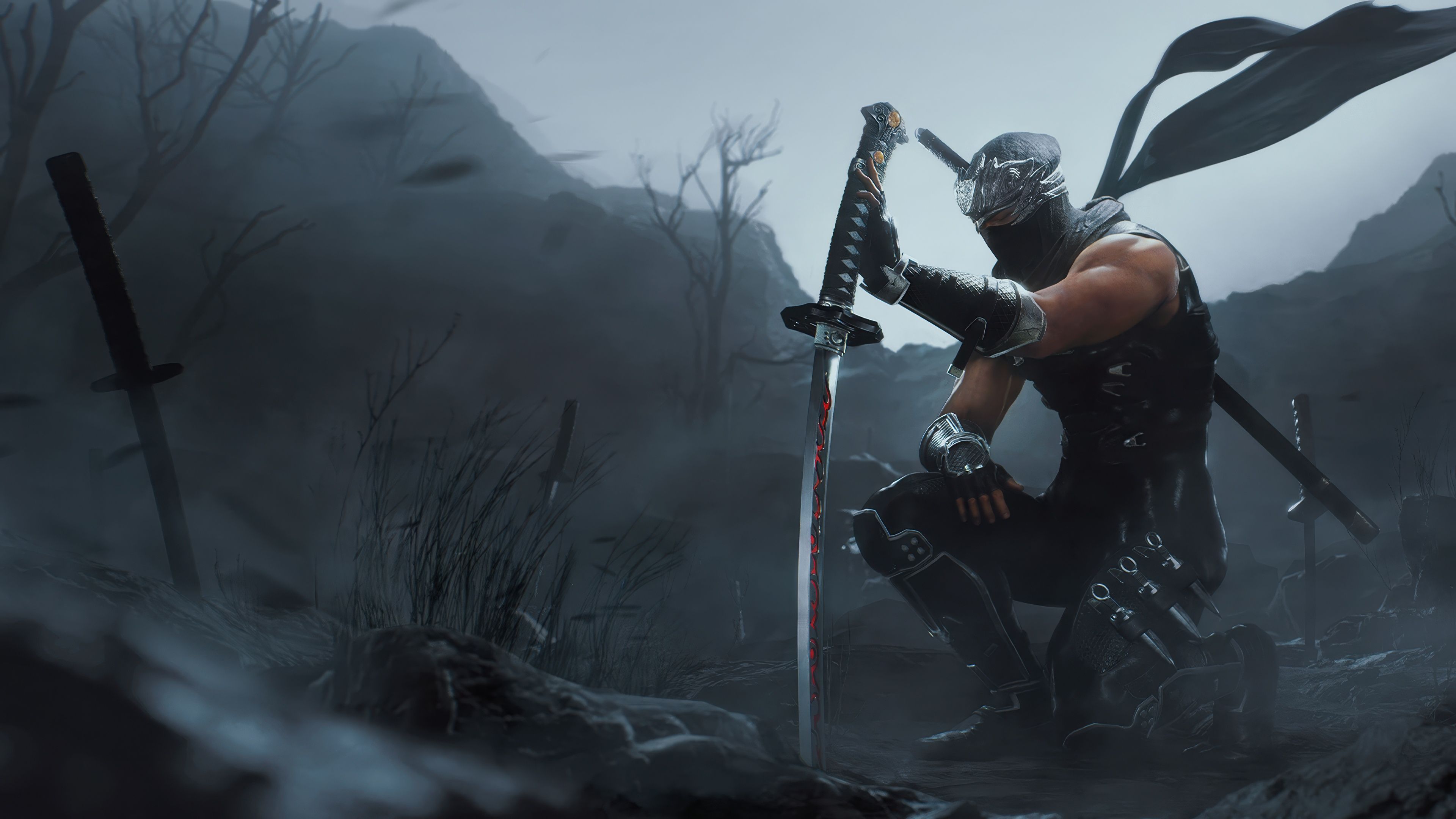 Ryu Hayabusa Ninja Gaiden 2 Black ultra HD 4K wallpaper
