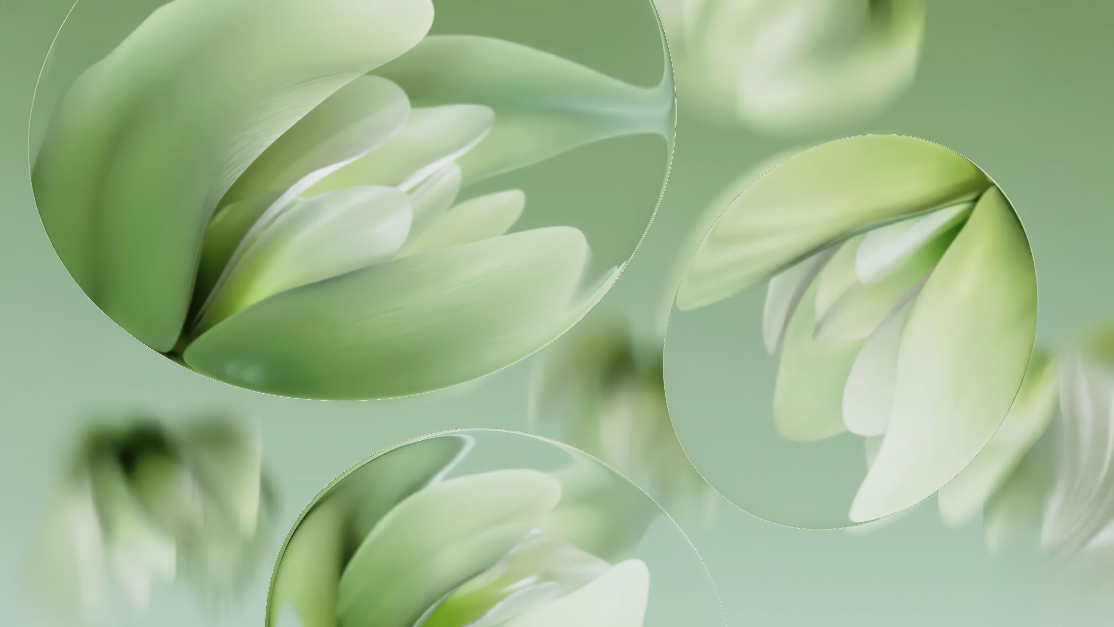 Water lilies Abstract art ultra HD 4K wallpaper