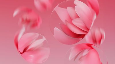 Cherry blossom Abstract art ultra HD 4K wallpaper