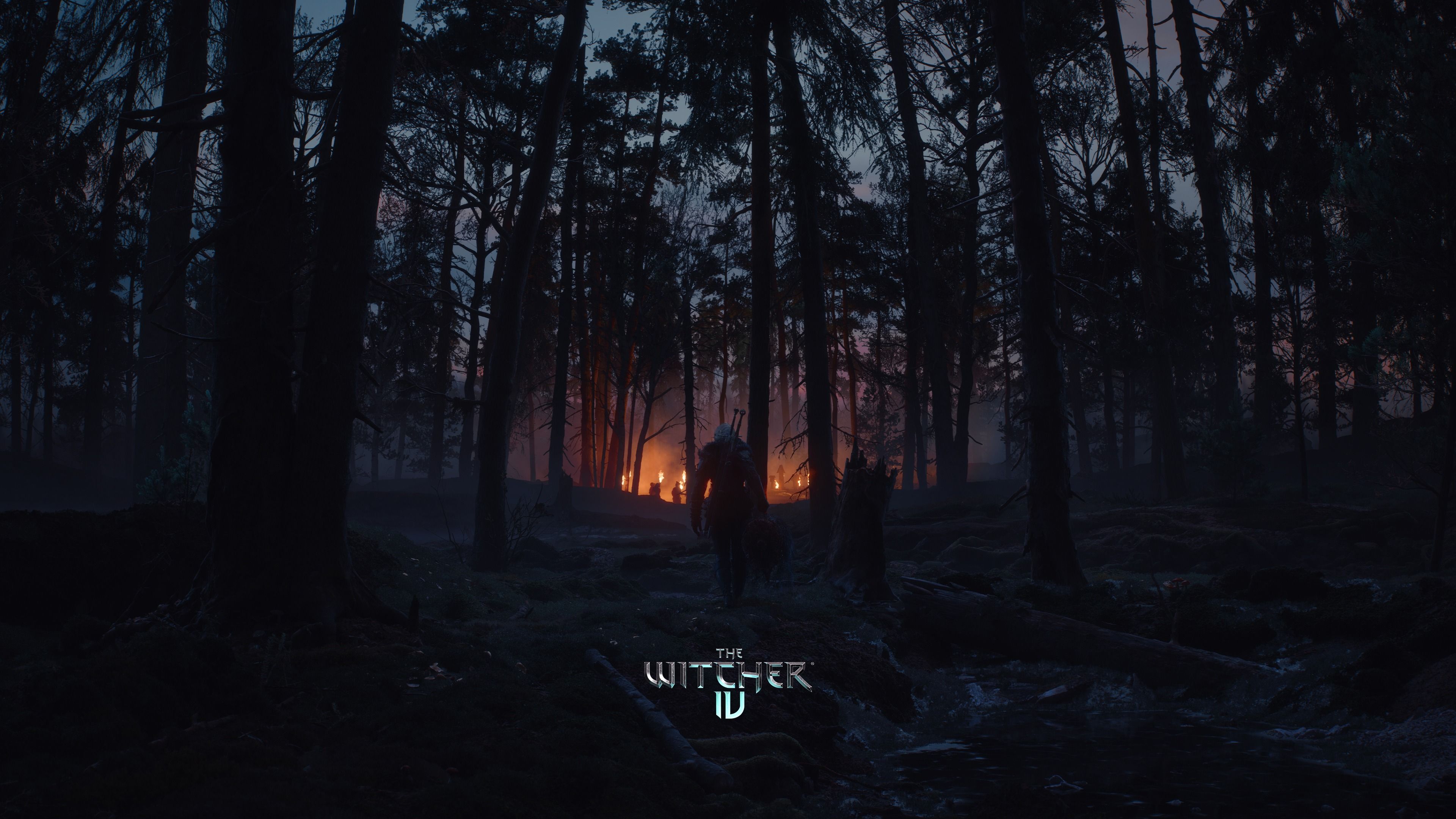 The Witcher IV Dark Forest ultra HD 4K wallpaper