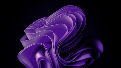 Windows 11 Abstract Purple Bloom 4K Wallpaper
