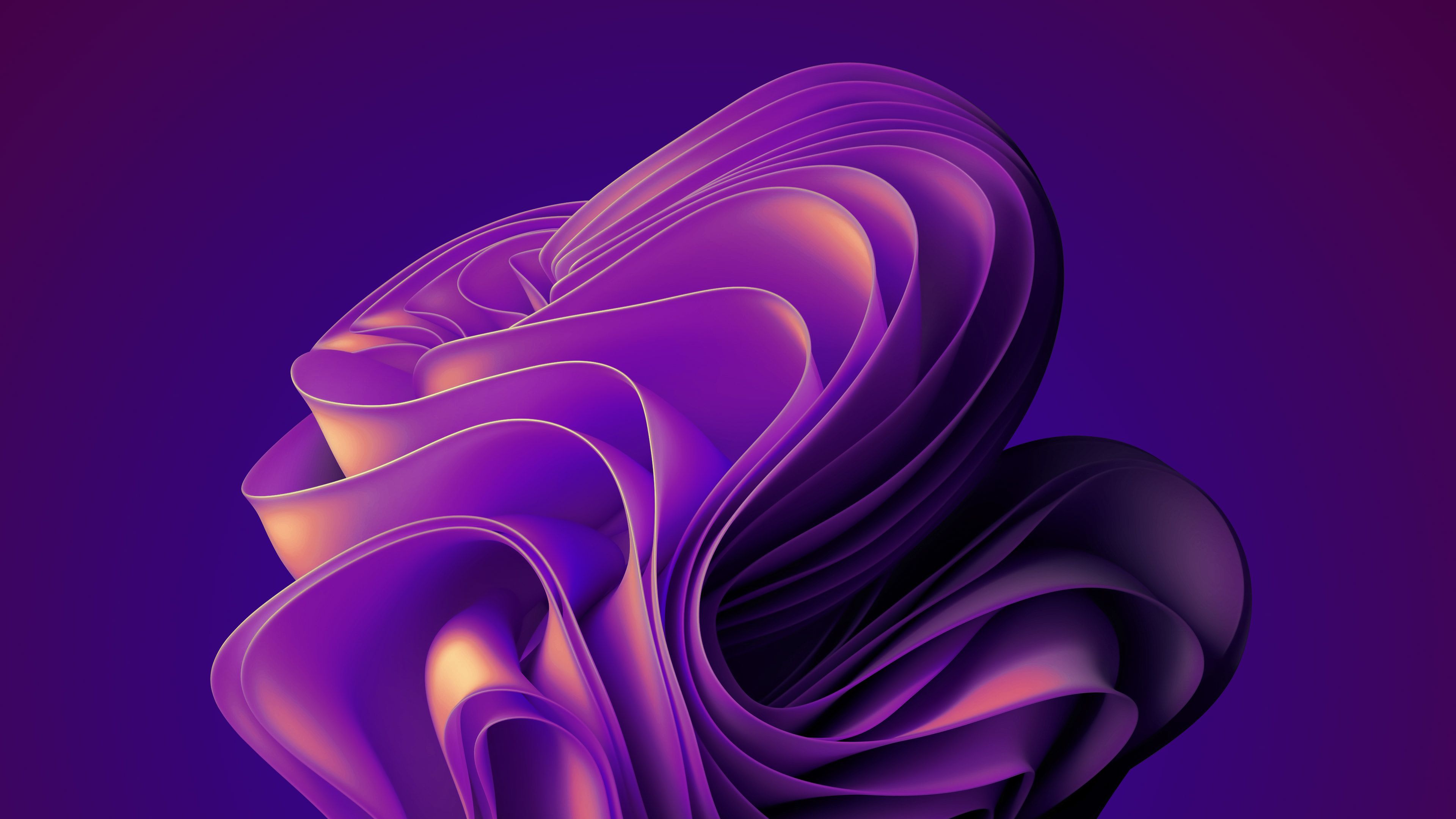 Windows 11 Abstract Gradient Purple Bloom 4K Wallpaper