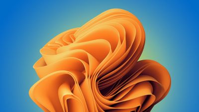 Windows 11 Orange Abstract Bloom 4K Wallpaper