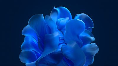 Windows 11 Blue Abstract Bloom Background 4K Wallpaper