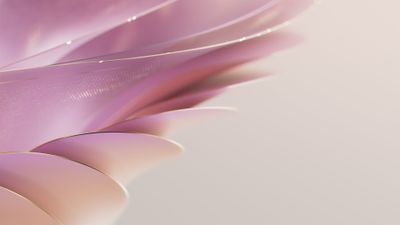 Elegant Pink Abstract Waves With Golden Accents