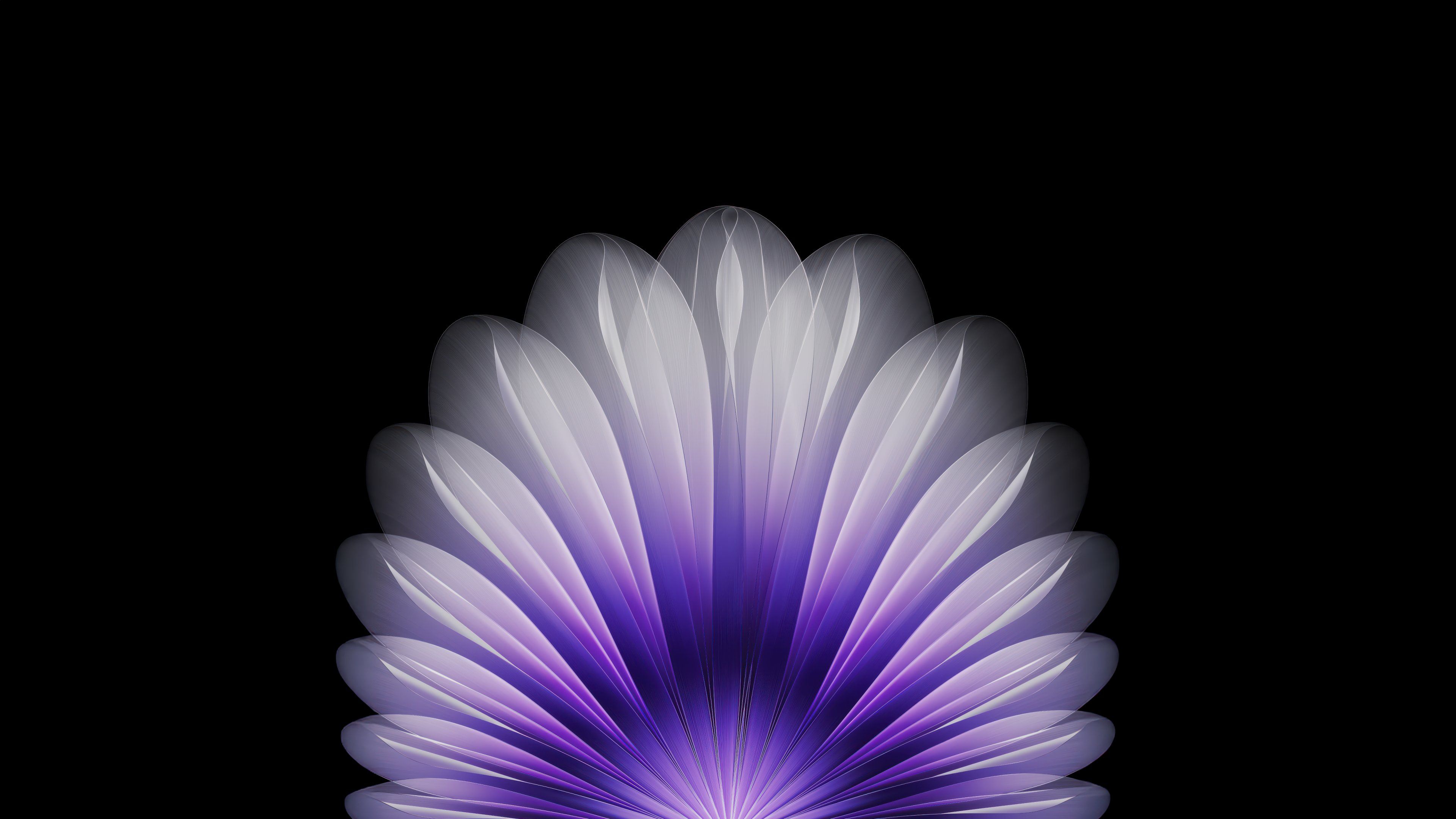 Vibrant Purple Abstract Floral Fan Wallpaper