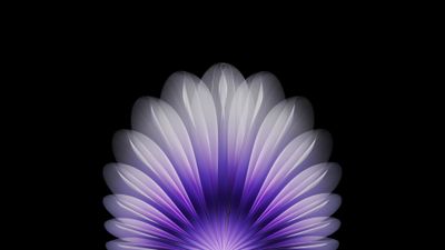 Vibrant Purple Abstract Floral Fan Wallpaper